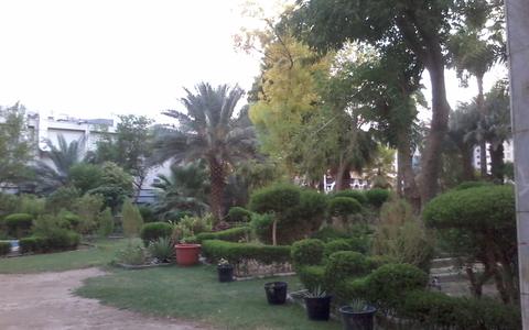 سقیفہ بنی ساعدہ