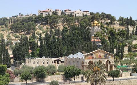 کوہِ زیتون